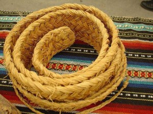 8-rindart-manchegograss