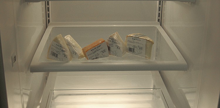 A shelf of wrapped cheeses in an otherwise empty refrigerator