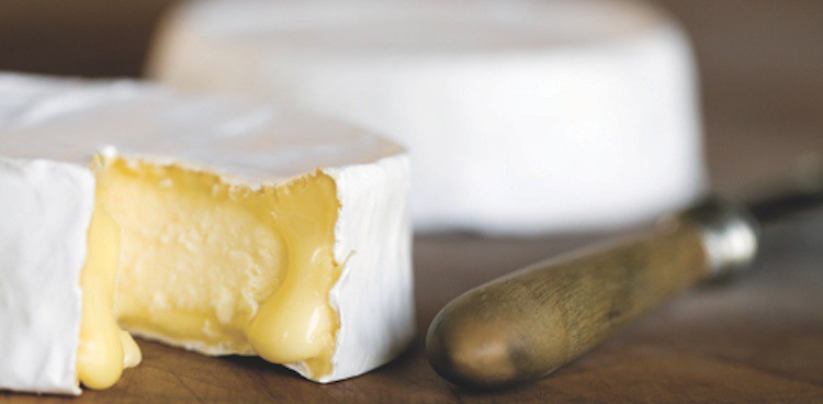 culture's summer 2010 centerfold cheese: Dinah