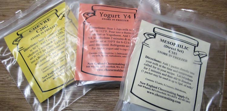 chevre, yogurt, and mesophilic starter cultures in plastic zip-top bags from New England Cheesemaking Supply