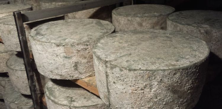 Willi Lehner's Blue Mont Dairy Clothbound Cheddar