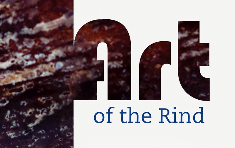 A cocoa rind