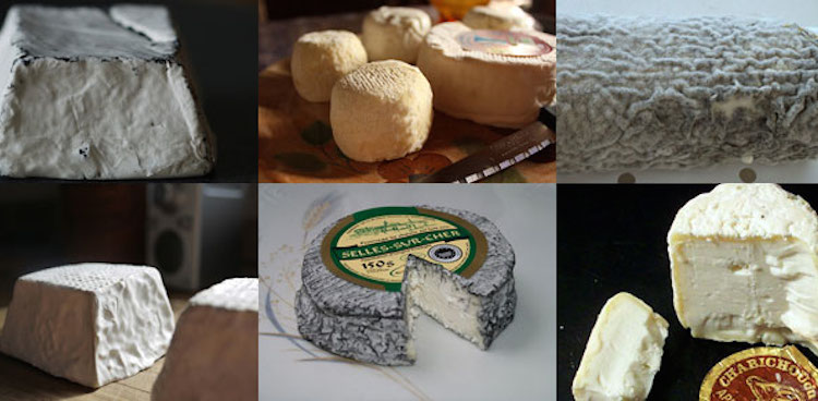 Clockwise, from top left: Valencay, Crottin de Chavignol, Sainte Maure, Chabichou du Poitou, Selles-sur-Cher, Pouligny