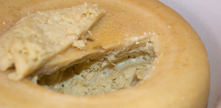 casu marzu maggot cheese with hole cut in top