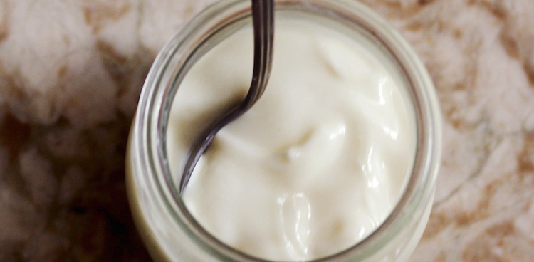 yogurtedit