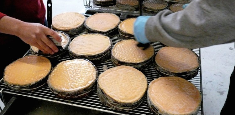 Winnimere cheese being washed with beer by two men using brushes