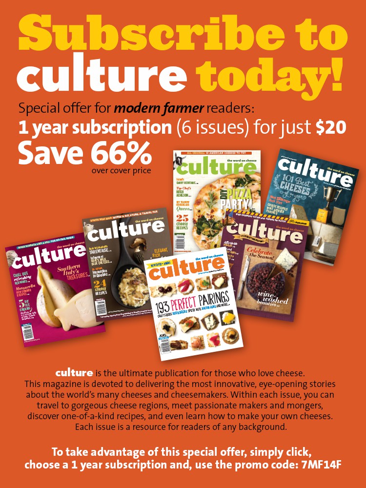 https://store.culturecheesemag.com/xsubscribe.aspx