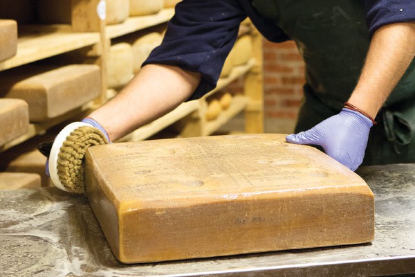 Almnäs Tegel cheese being brushed as is ages