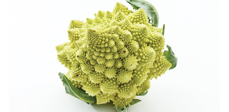 Romanesco Broccoli