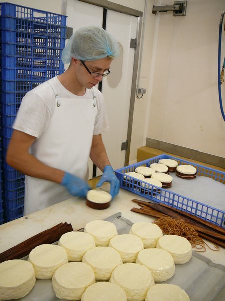 Cheesemaker strapping Vacherin Mont d'Or with Spruce bark to protect the rich cheese as it ages