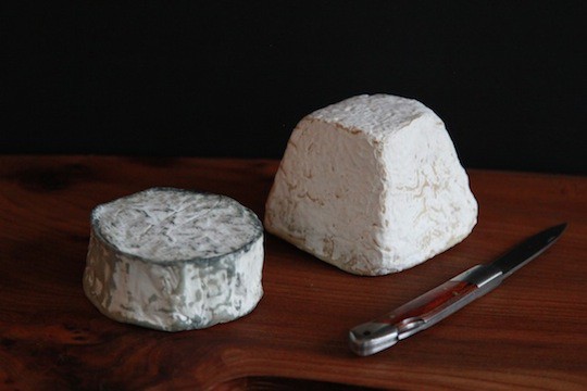 Andate Dairy's Acapella cheese