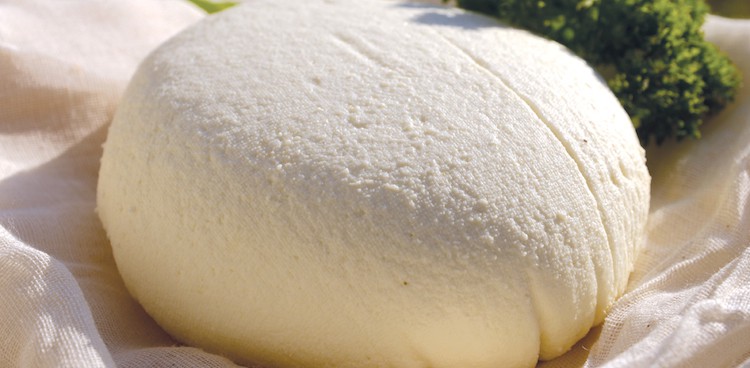 Homemade quesillo cheese