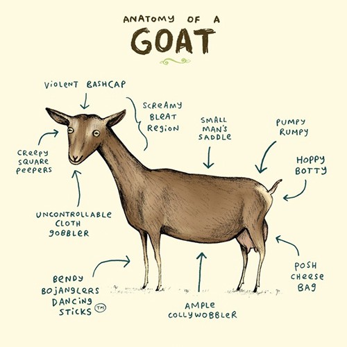 Anatomy of a Goat Print