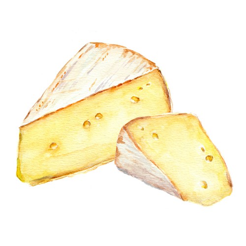 Cheese Illo for an anonymous guest author