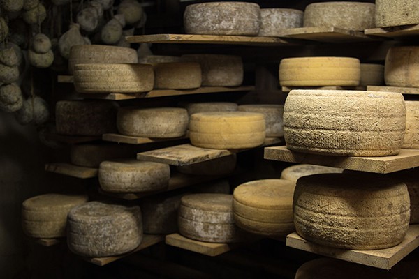 Parish Hill Cheese Cave - aging wheels of cheese
