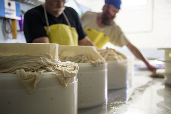 Peter Dixon and Winnie - cheese in molds