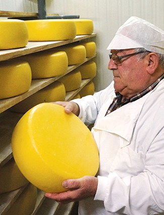 João Henrique Melo Cota moves wheels at his Queijo Vaquinha creamery on Terceira.
