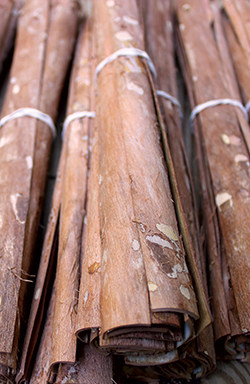 Ron Hall's bark strips, cut into 14-inch pieces and dried.