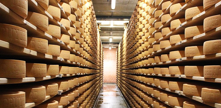 Gruyere aging