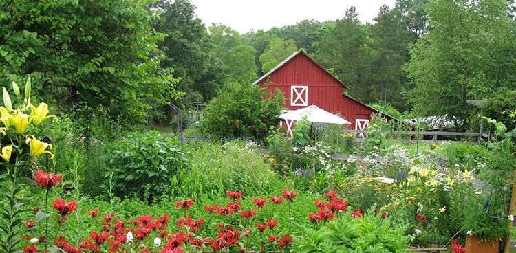 Barn at Bluebird Hill Farm