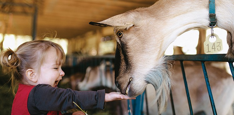 Sara says hello to Karrot the goat. Photo credit: Josh Huskin