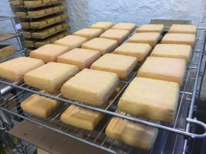 Experience cheese washed with Radikon wine. Photo Courtesy of Have & Meyer.