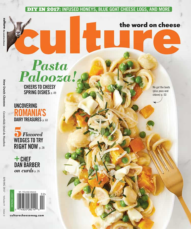 Spring 2017 issue cover