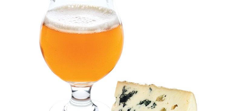 IPA and cheese