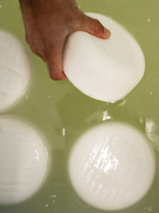 Young wheels of Oriol de Montbrú are brined 