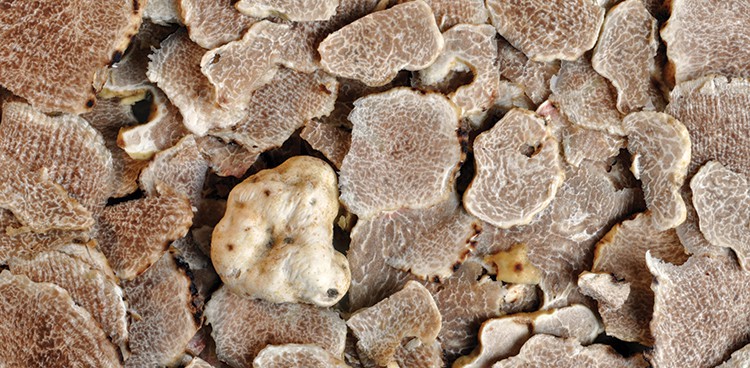 truffles