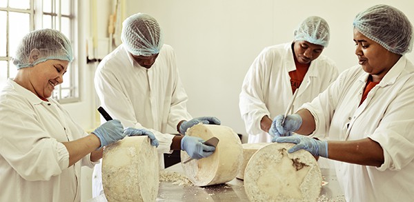 Cheesemaking at Healey's Cheese at Waterkloof Wine Estate