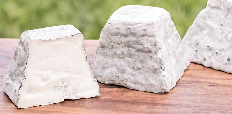 Mountaintop Bleu by FireFly Farms