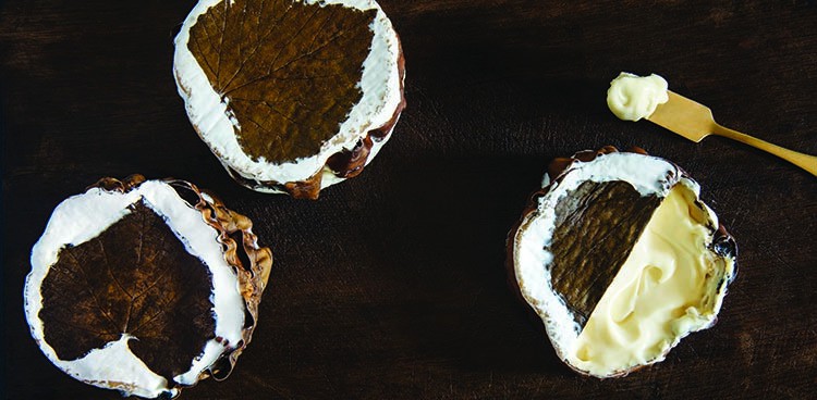 Mountain_maple_brie