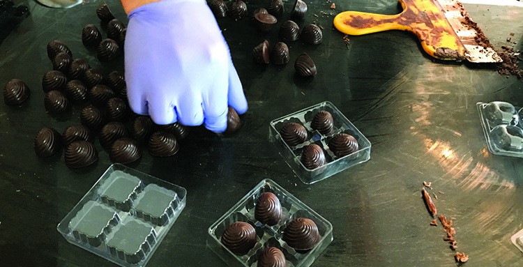 cheese_chocolate
