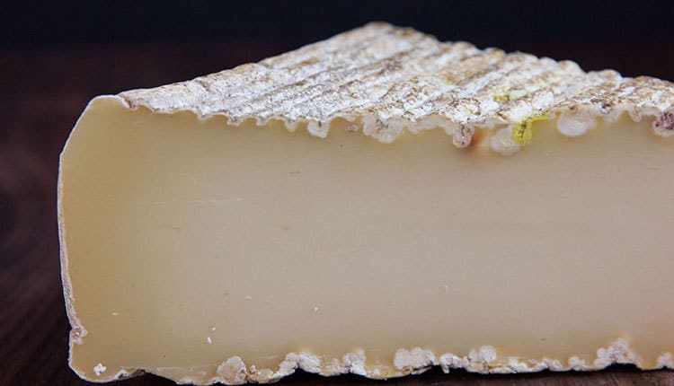 bufarolo