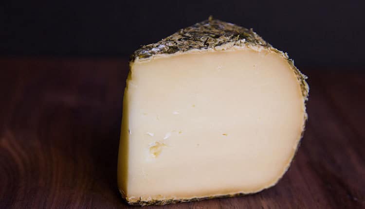 pecorino camomilla