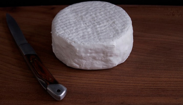 camembert