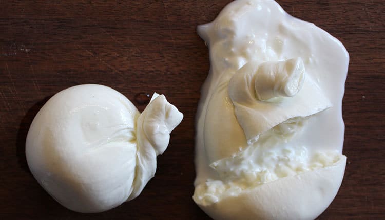 burrata