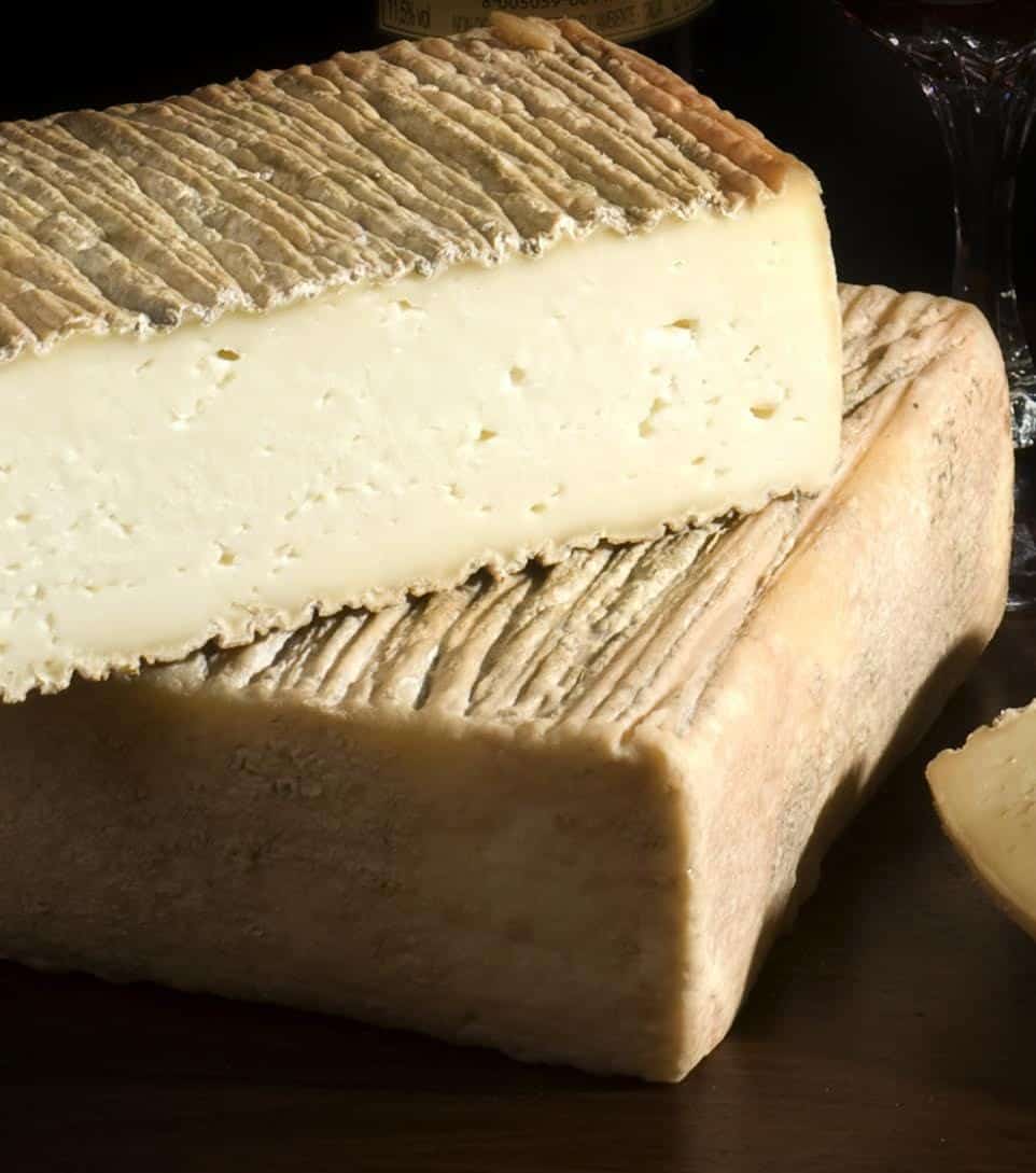 quadrello di bufala
