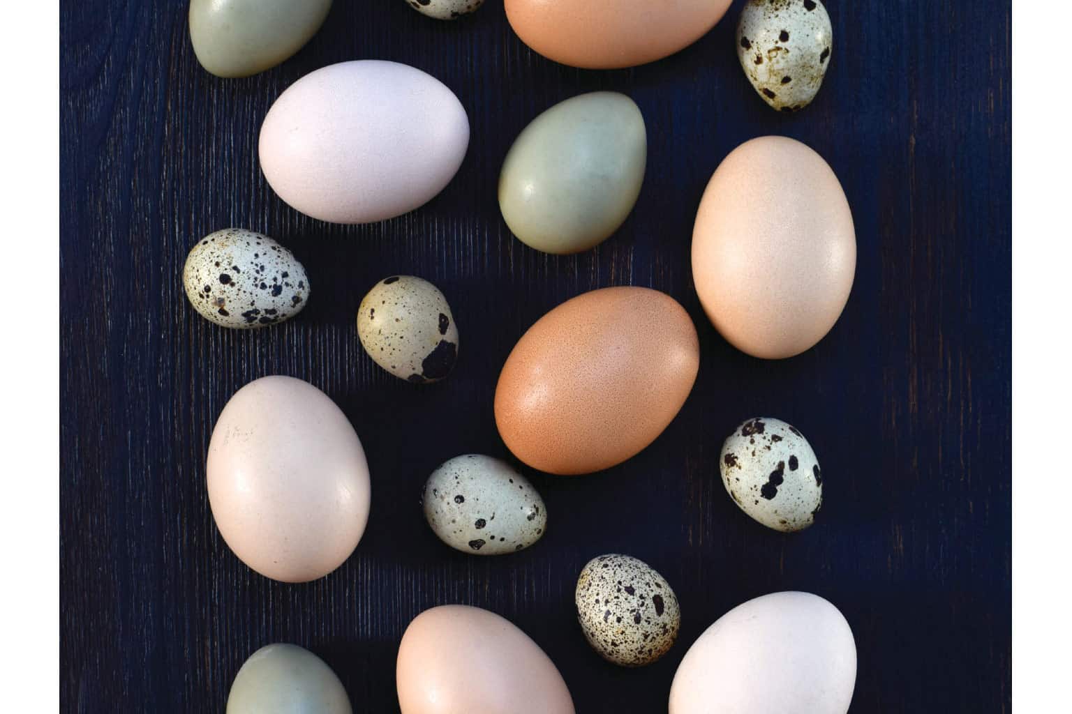 cheese and eggs