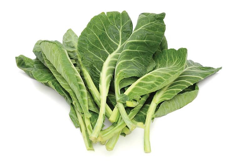 collard greens in season