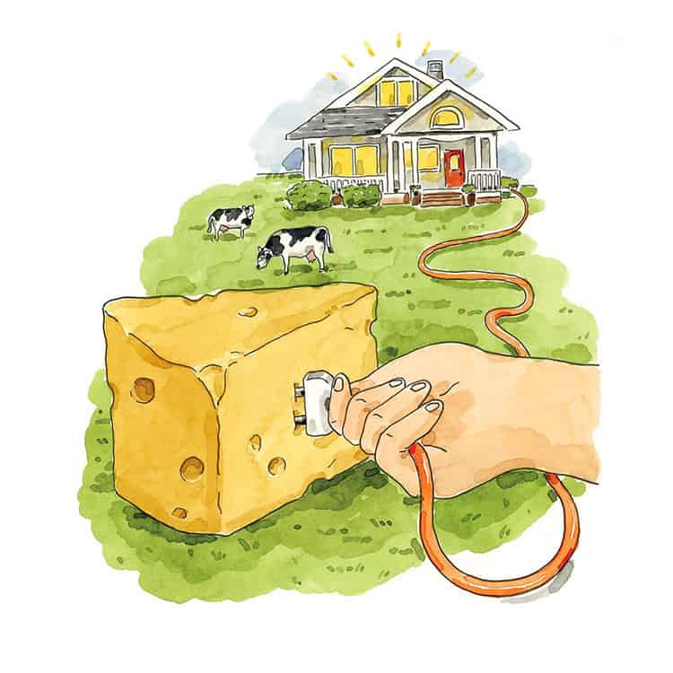 sustainable cheese