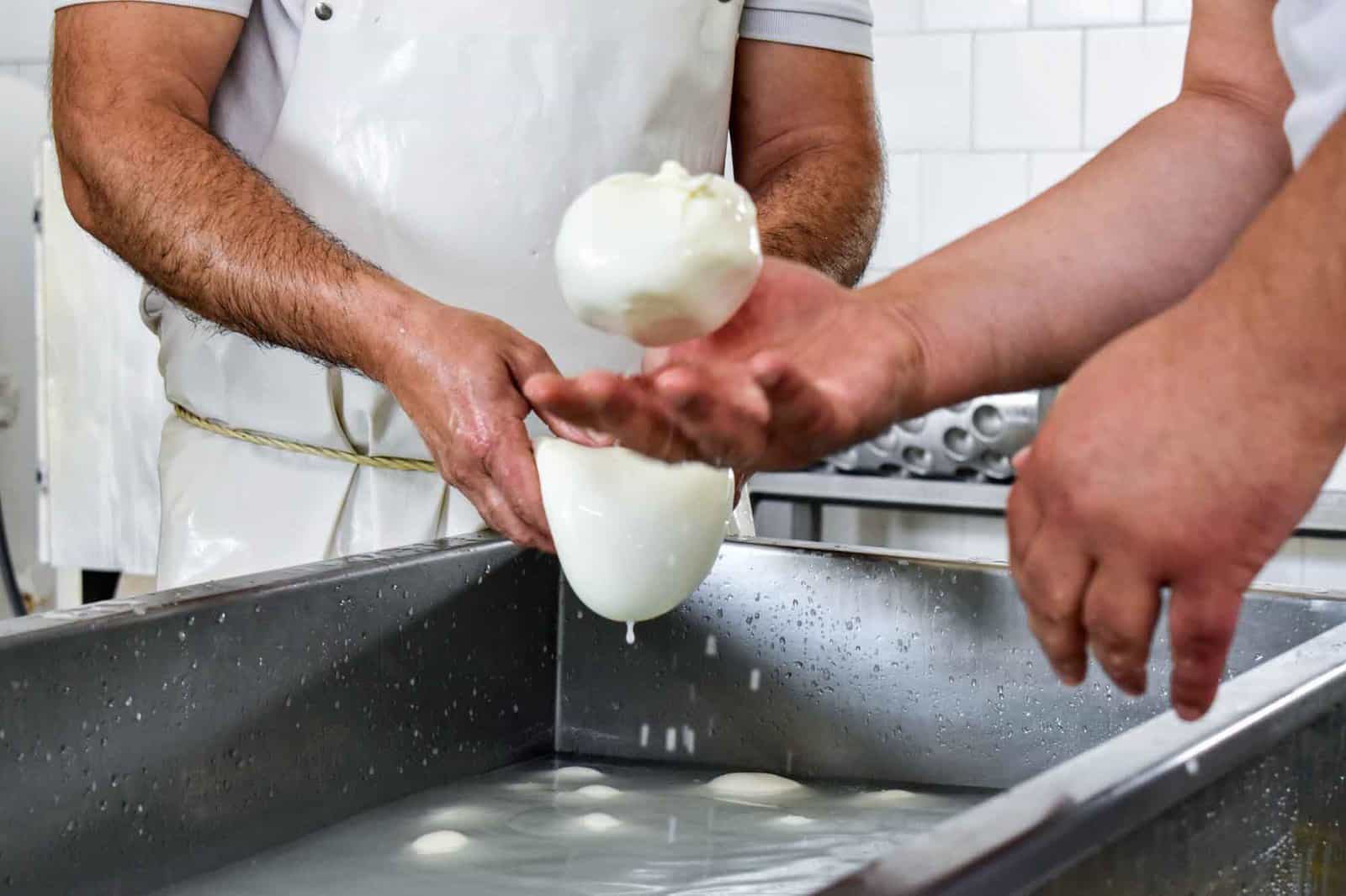 Making Mozzarella