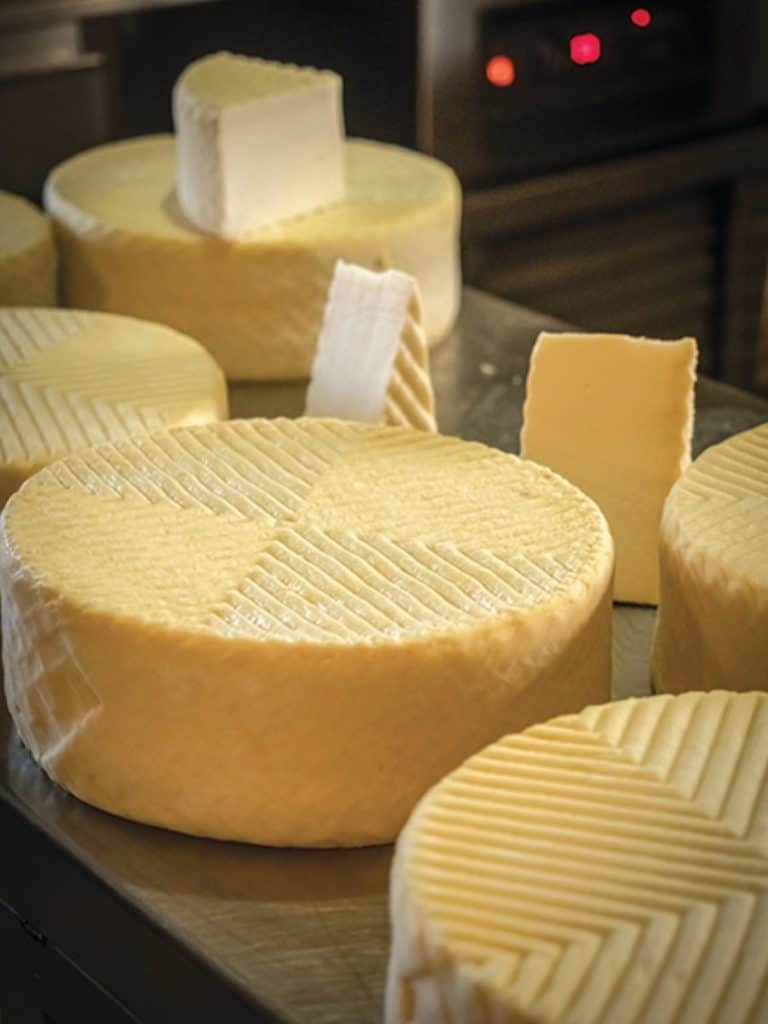 cheese of the canary islands
