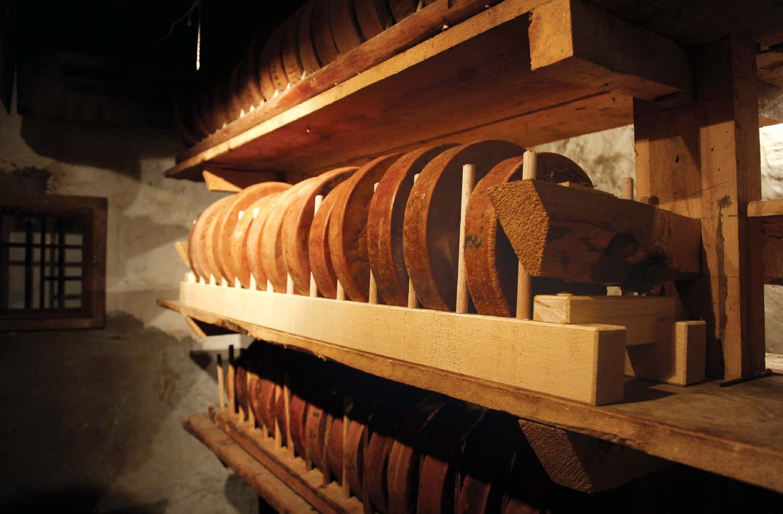 aged swiss cheese from the 19th century