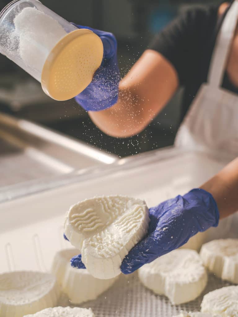 bee tree farm & dairy cheese
