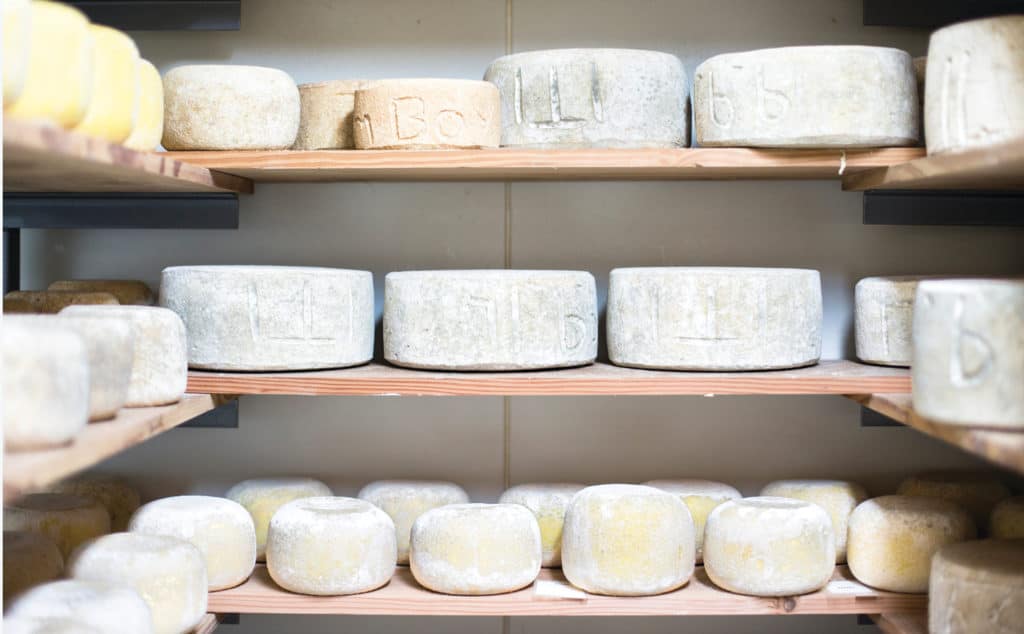 bruny island cheese company in tasmania