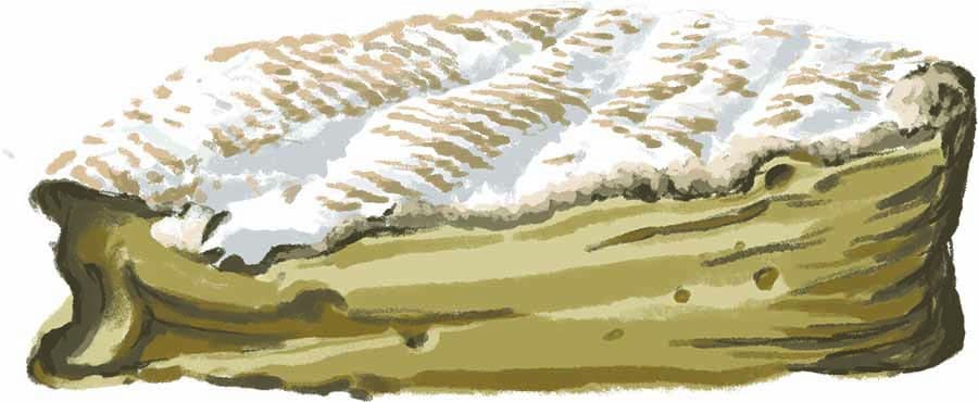 cheesemaking
