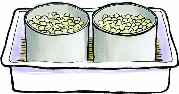 cheesemaking