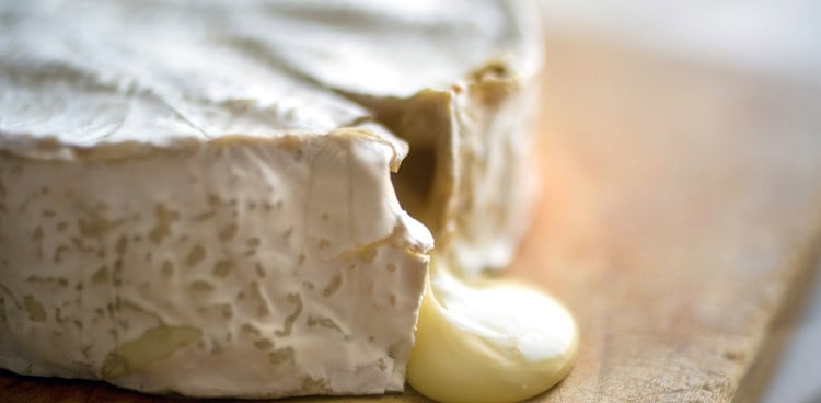 Camembert